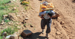 IRGC kills Kurdish Kolbar near Iraq border: Iranian rights group