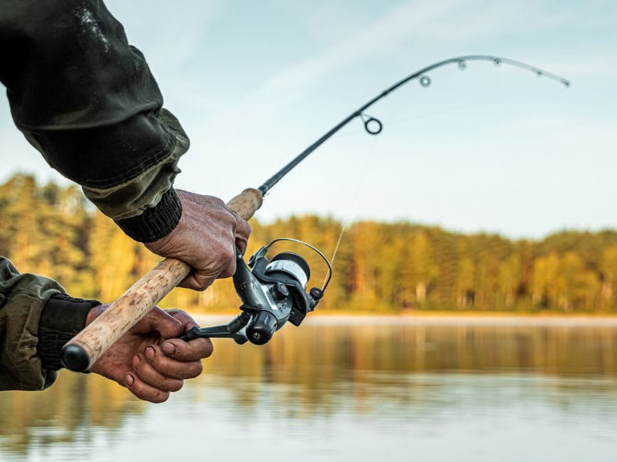 لە 20 ئادارەو قەیەغەی ماسیگردن دەسوەپی کەێد