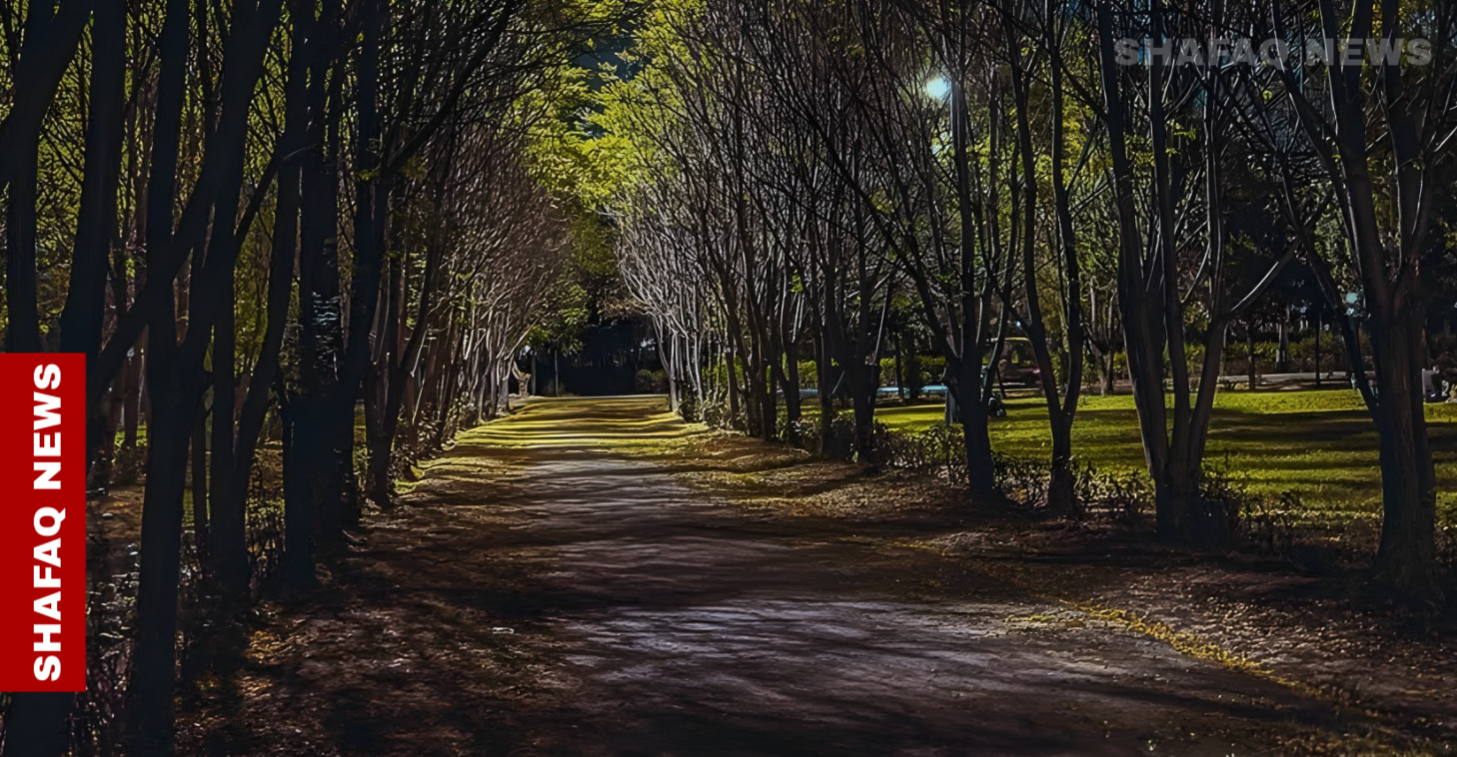 دعوات لتحويل ملكية أراضي غابات الموصل لمنع استغلالها من "جهات سياسية"