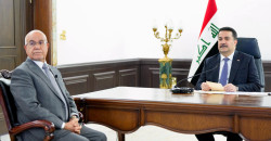 Iraq pushes to end medical trips abroad