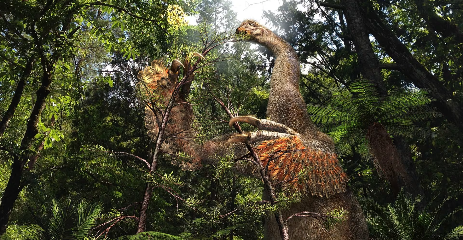 علماء يكتشفون أكبر مخلب محفوظ بالكامل لديناصور في منغوليا