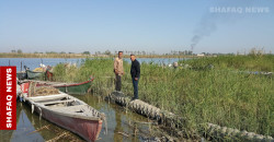 Iraq's fisheries get 3 million carp fry boost