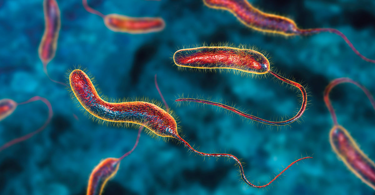 الصحة العالمية: ارتفاع وفيات وإصابات الكوليرا في 2024 بنسبة 50%