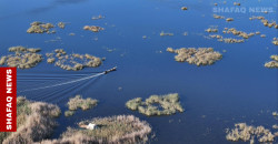 Iraq's oil ambitions vs. UNESCO heritage: The Hawizeh Marsh conflict