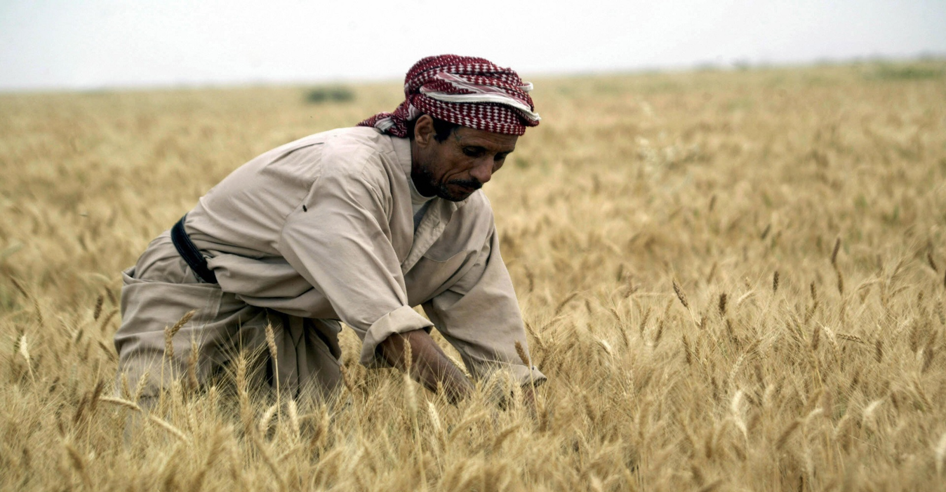 قرارات الزراعة تفجر غضباً نيابياً: تسببت بخسائر فادحة للفلاحين