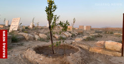 Trees for the fallen: Iraqis plant memorial forest to fight desertification