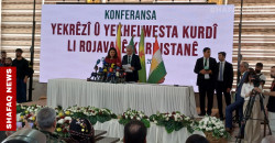 From Rojava to Damascus? Kurds aim for unified voice in Syria's reconstruction