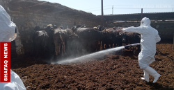 CCHF: Iraq’s Kirkuk mourns another health worker