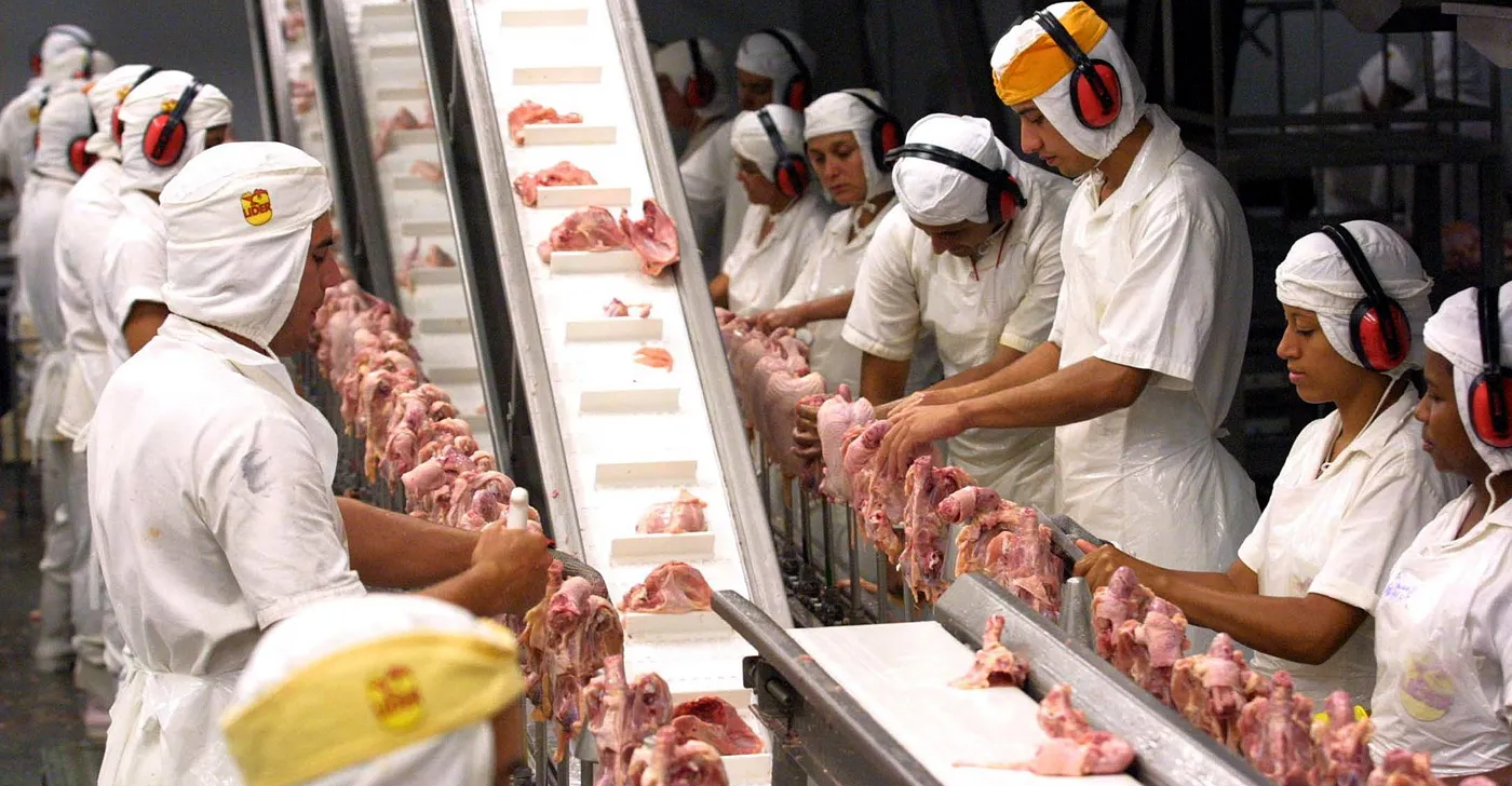 العراق ثالث أكبر مستورد للدجاج البرازيلي عربياً