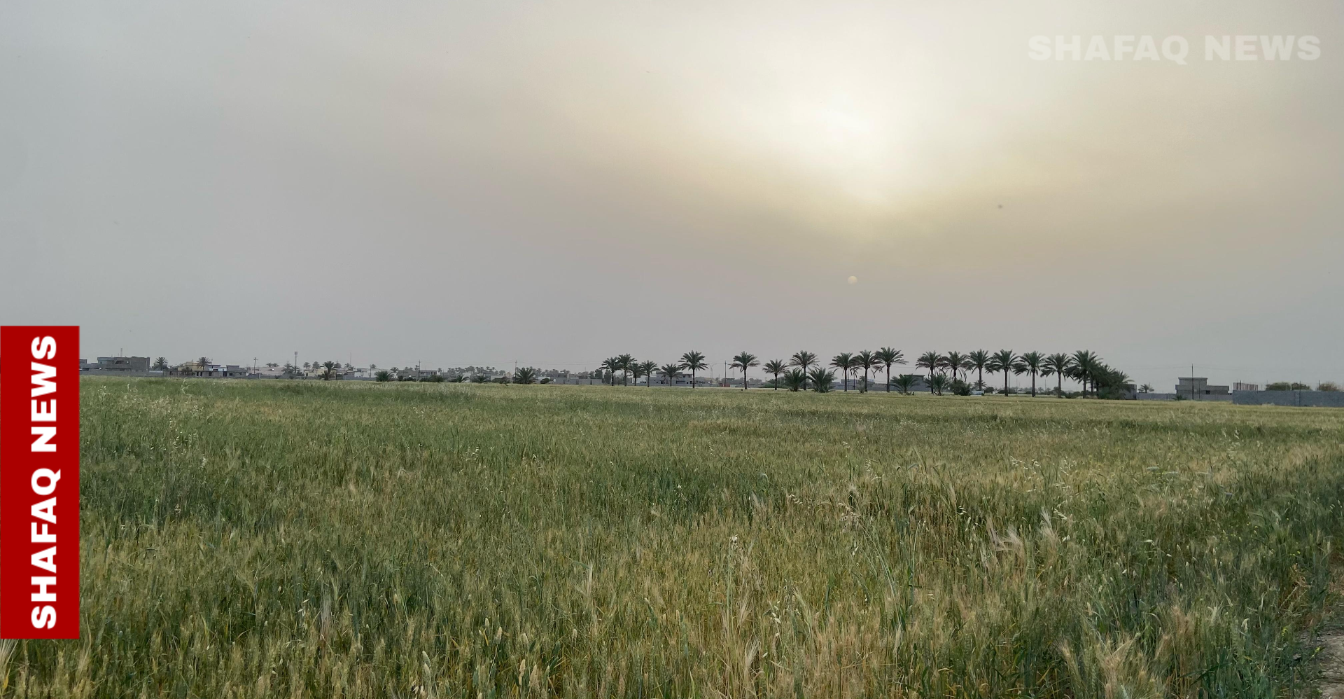 بعد "أيام غبارية".. غروب هادئ على ضفاف الفرات في الأنبار (صور)