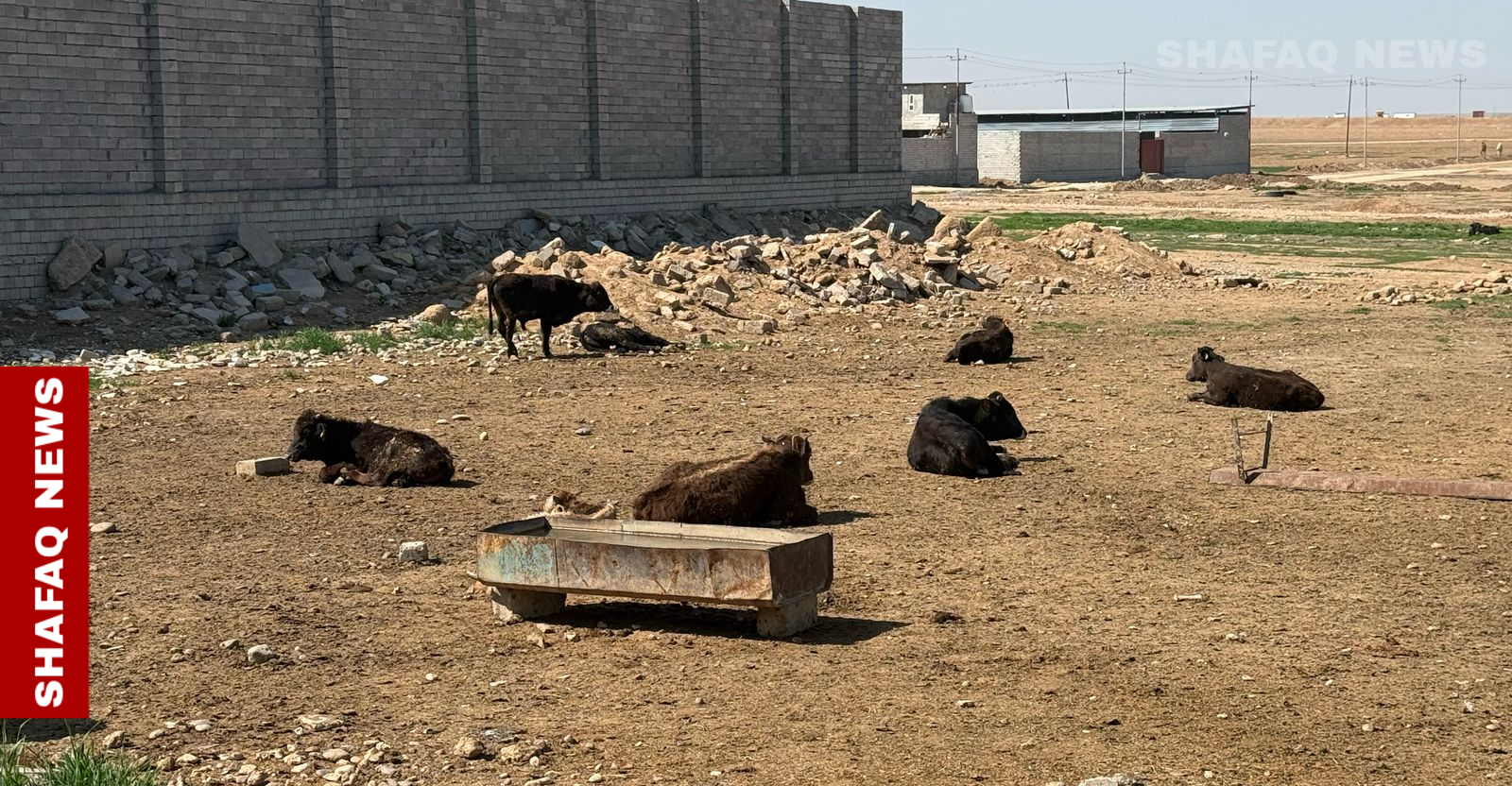 محافظ كركوك يوجه بتشكيل خلية أزمة لمكافحة "الحمى النزفية"