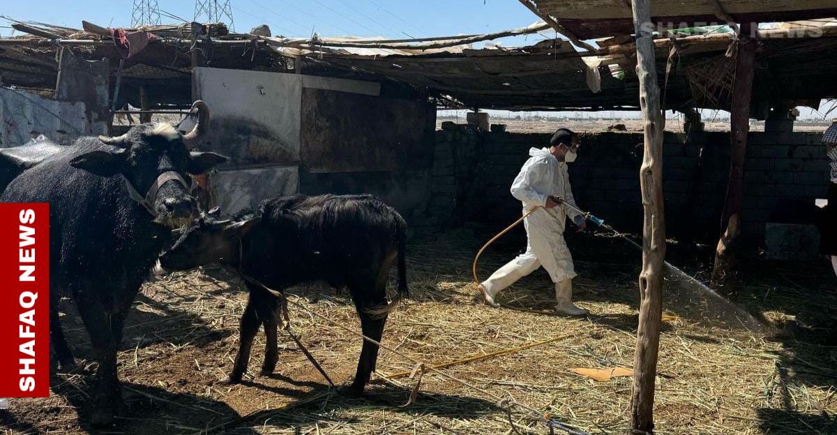 توومارکردن تویشهاتن نوویگ وە تەو خوینوەربوین لە موسڵ
