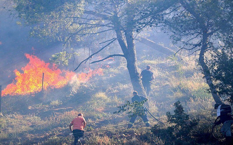 ئاگر گەپیگ لە کویەیل قودس هیزگرد