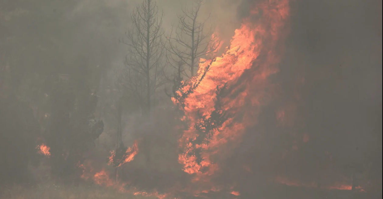 Israel renews emergency as wildfires force thousands to evacuate