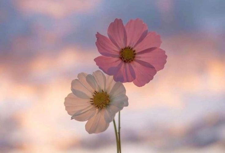 سێ پارچە شیعر