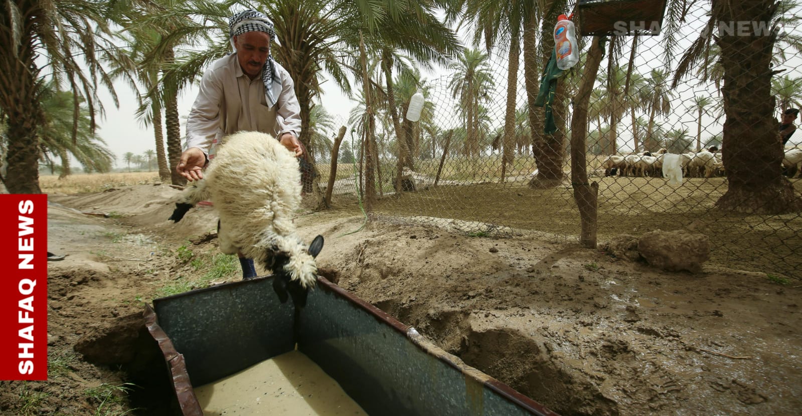 لەماوەی 24 ساعەت.. دویەم تویشهاتن وە تەو خوینوەربوین لە موسڵ توومارکریا