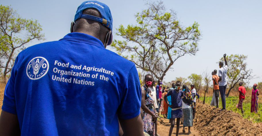 "الفاو" تحذر من خطر غذائي يمس الدول النامية