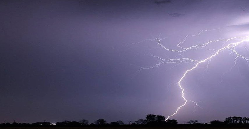 مردن کوڕیگ لە دەوروگەرد هەلەبجە وە مدوو بەڵاچە