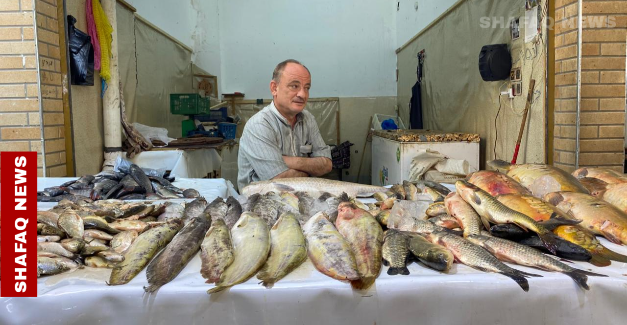 الزبائن يفضلونه صيفاً.. سعر "الجري" يقفز 10 أضعاف بالرمادي (صور)