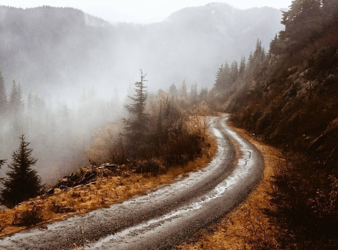 دڵێ کە شکیاس