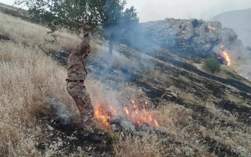 سزیان سێ دۆنم پویش و گژوگیا لە عەربەت