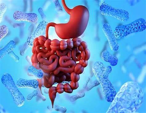 چەن نیشانەیگ بەکتریای گەیە