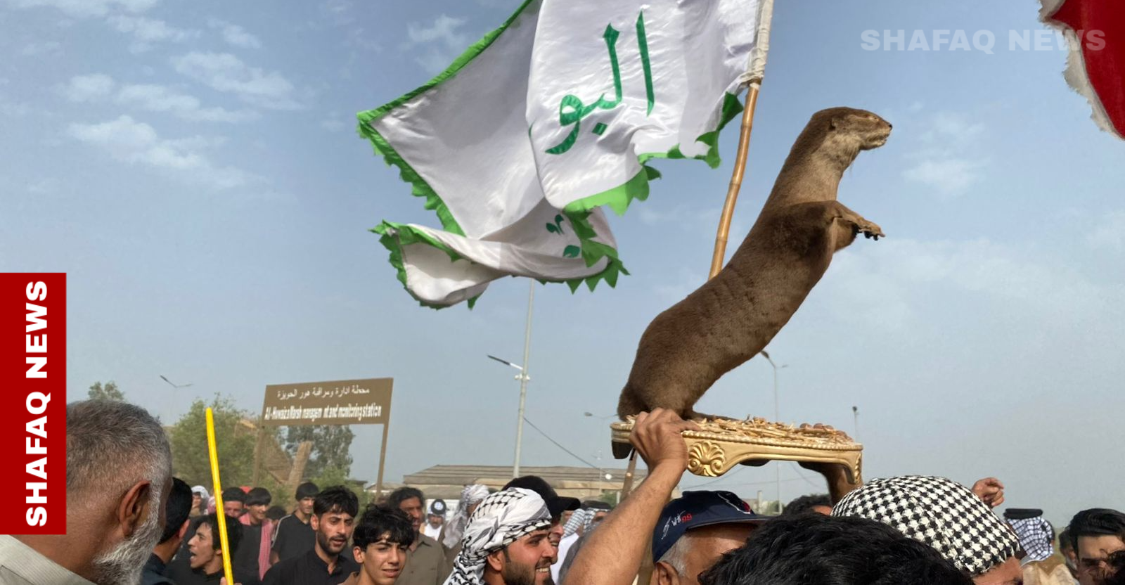 "ماكسويل" يفرّ من هور الحويزة.. الجفاف يهدد "رمز" التنوع الأحيائي في الأهوار العراقية