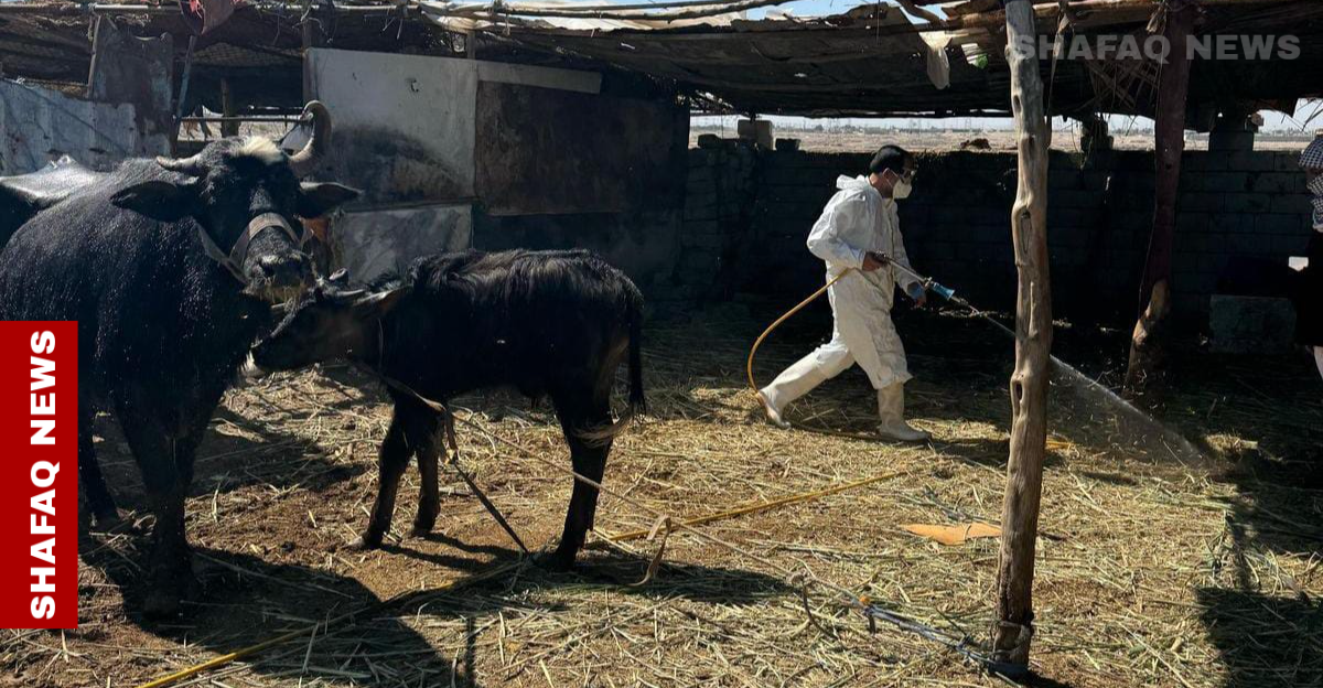 واسط تسجل أول إصابة بالحمى النزفية