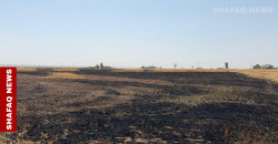 Deadly storm sparks wildfires, power outages in Erbil
