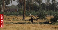 Beyond the heatwave: The quiet strength of Iraq’s southern families