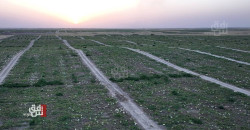 Iraq adopts emergency irrigation measures amid record water shortage