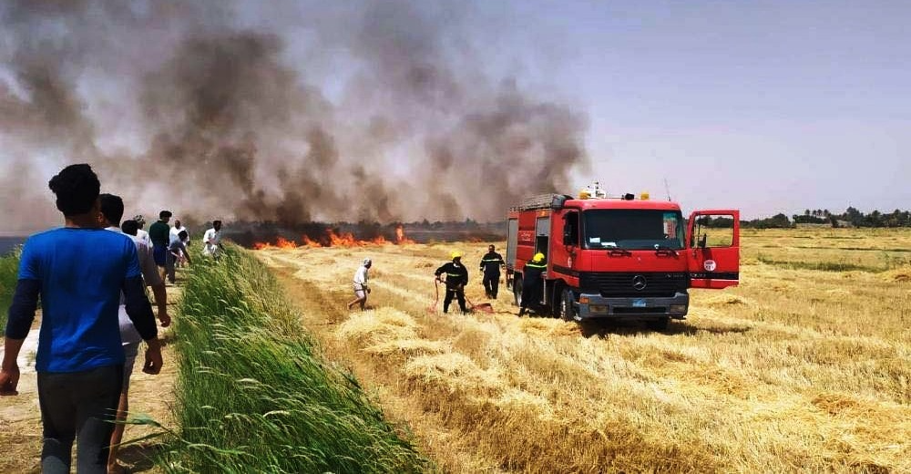 بسبب الحنطة.. حريق يلتهم 50 دونماً و"دماء" بين سائقي شاحنات في محافظتين (فيديو)
