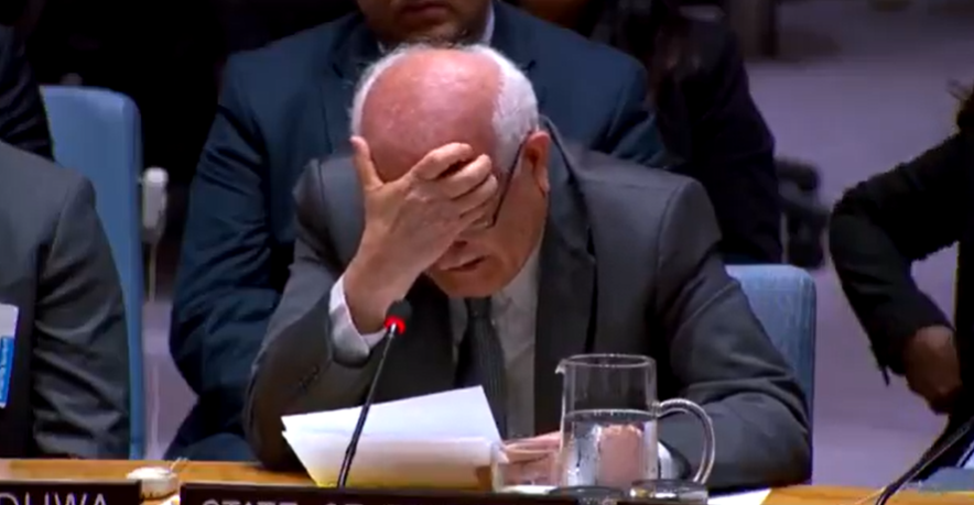 مندوب فلسطين ينفجر بالبكاء في مجلس الأمن.. فيديو