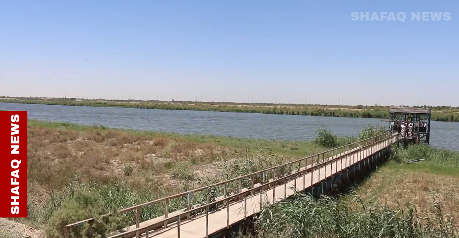 "حمراء وسامة".. الطحالب تفاقم التلوث شمال البصرة وتسبب "جدلا رسميا"