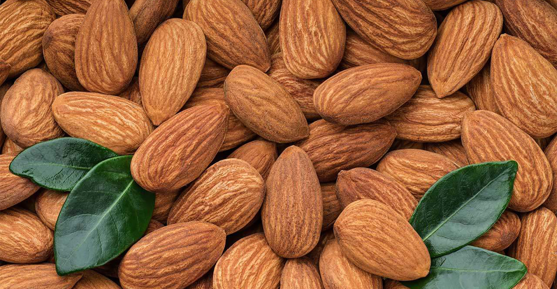 يحمي من السرطان والسكري.. فوائد كثيرة للوز