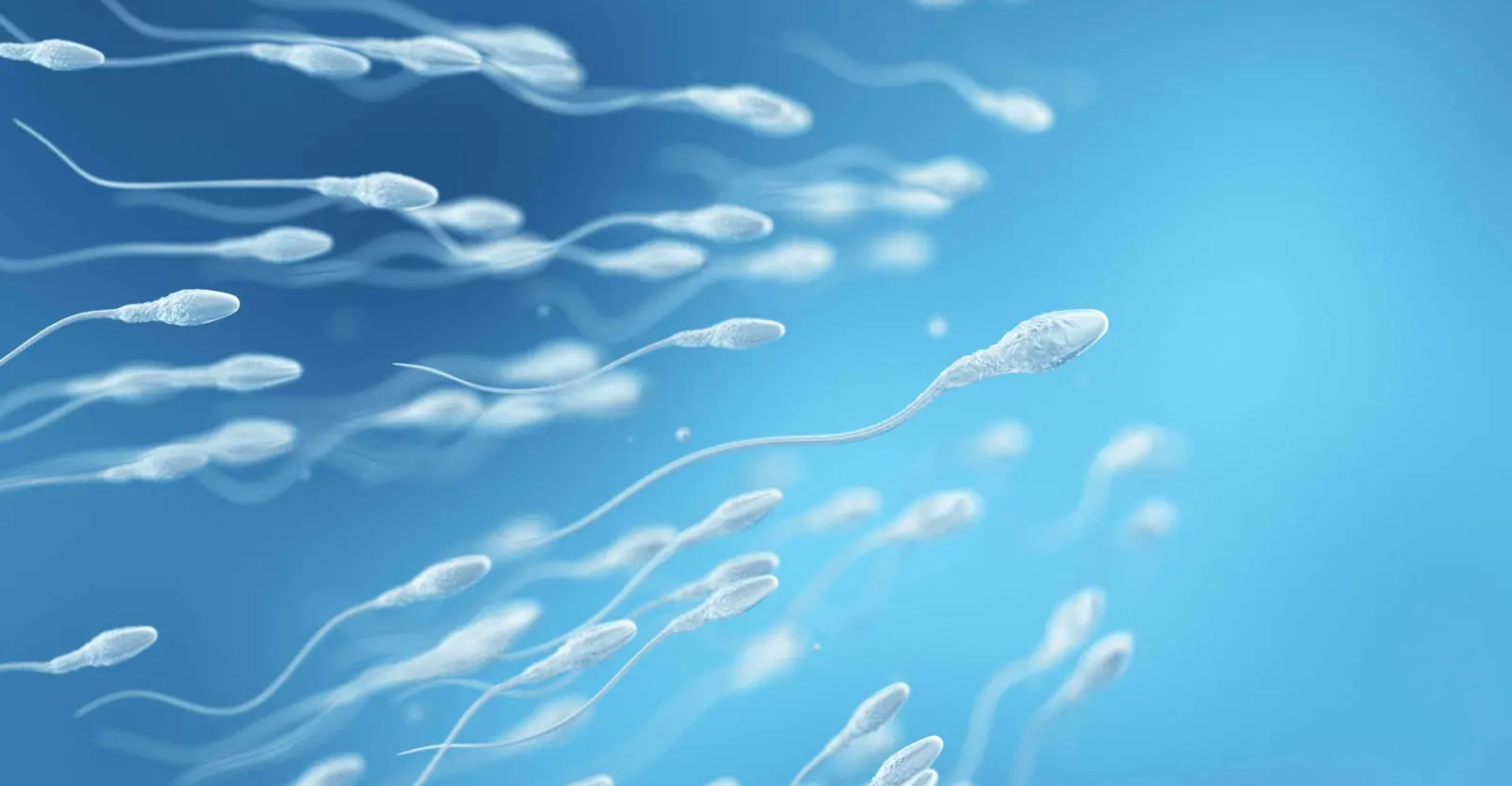 وداعاً للعقم الذكوري.. تقنية جديدة لإنتاج حيوانات منوية في المختبر