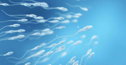 وداعاً للعقم الذكوري.. تقنية جديدة لإنتاج حيوانات منوية في المختبر