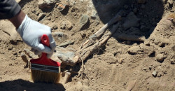 Iraq unearths six mass graves in al-Anbar