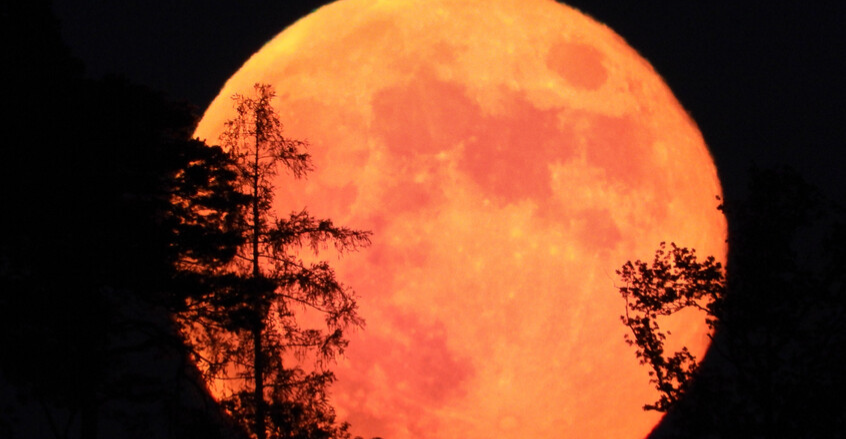 ليلة ساحرة.. "قمر الفراولة" يطلّ على الأرض في عرض سماوي نادر