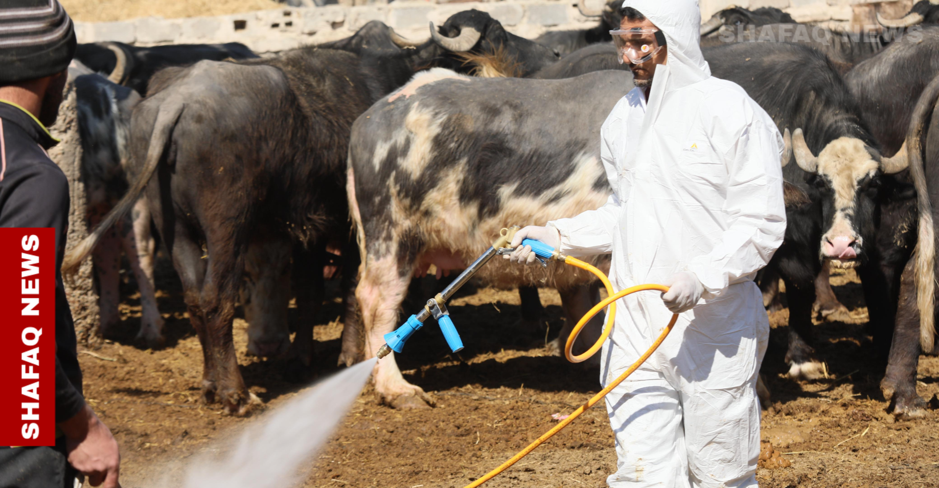 الموصل.. إصابة جديدة بالحمى النزفية لرجل ستيني