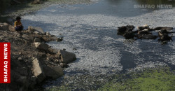 Following up: Iraq's mass fish die-off uncovered