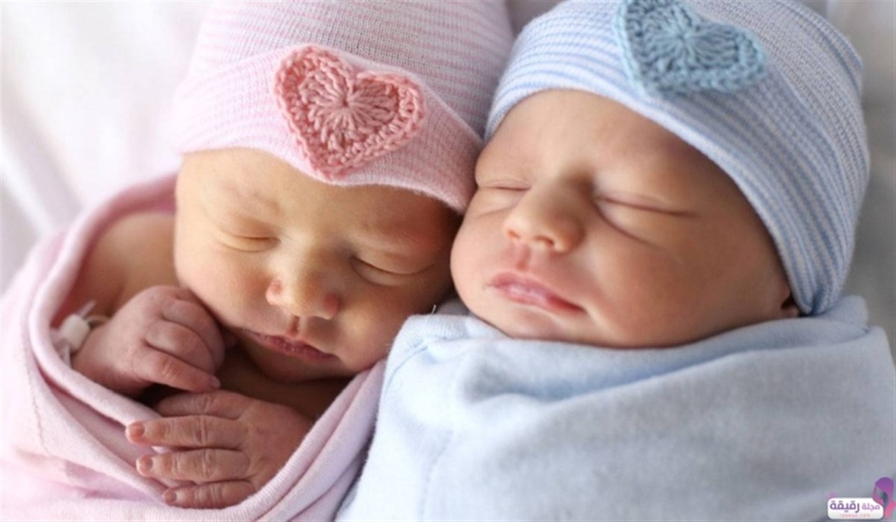 ڤێتنام بڕیار سنووردارکردن زایین هەڵوەشان