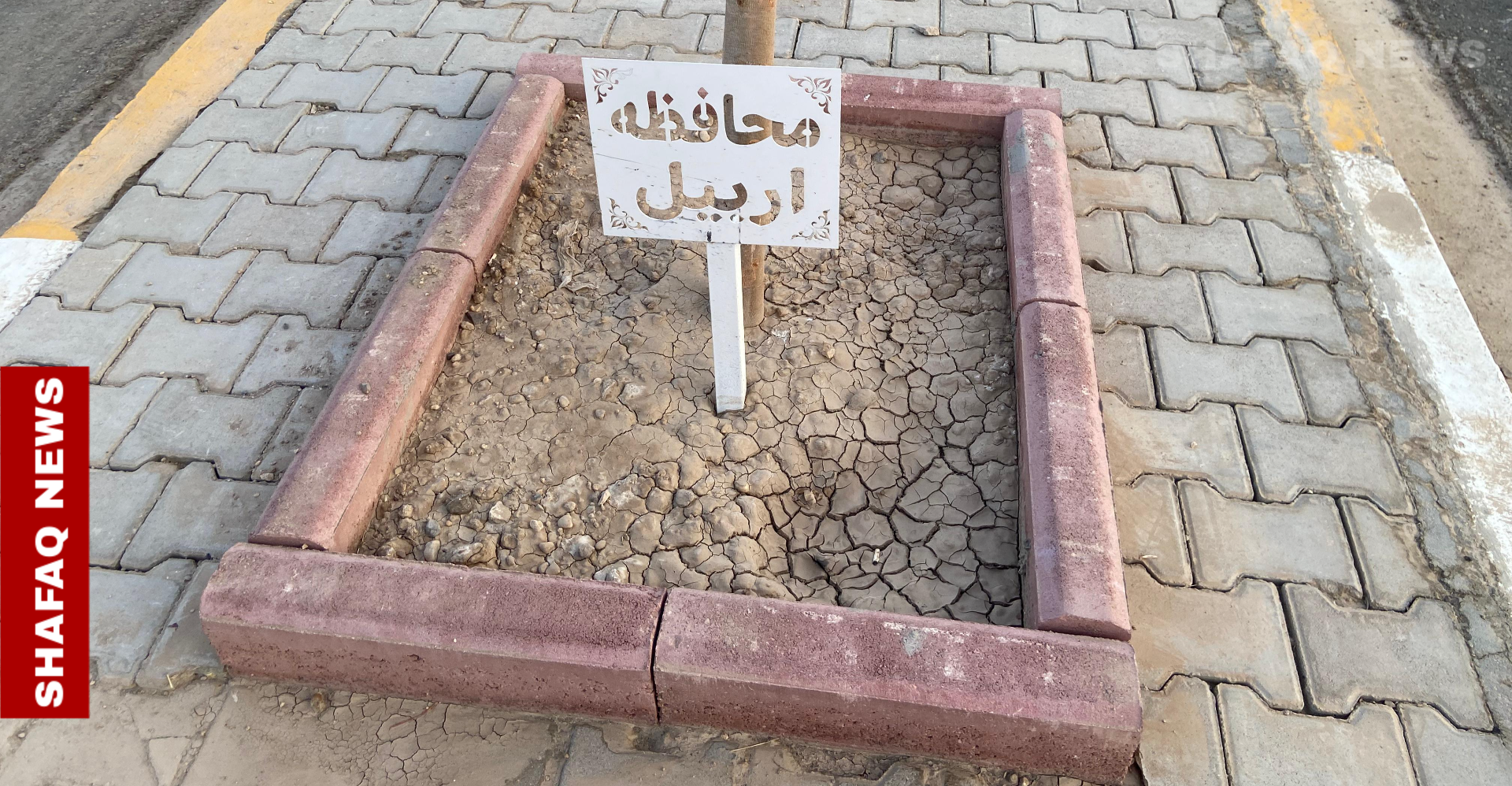 شارع "جسور الأجيال" في الرمادي.. أشجار تحمل أسماء العراق وتثمر تعايشاً (صور)