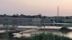 Drought’s devastation: Iraq’s rice belt withers
