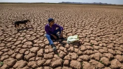 Green turning grey: Inside Iraq's accelerating desertification