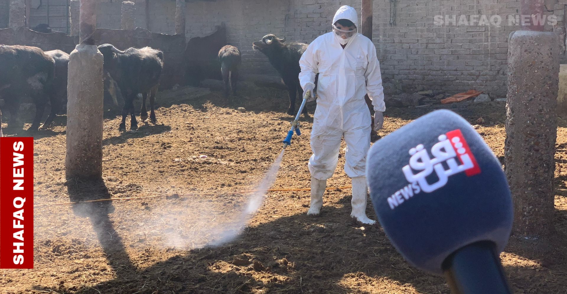 بينها 19 حالة وفاة .. العراق يسجل 123 اصابة بالحمى النزفية في 2025