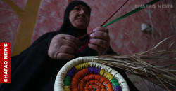 "الگدر والطاسة" .. أنامل نسوية تنسج من النخيل قطعا فلكلورية