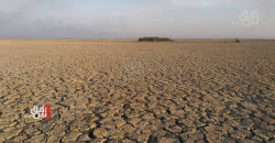 Iraq's water scarcity deepens: Mass exodus from provinces
