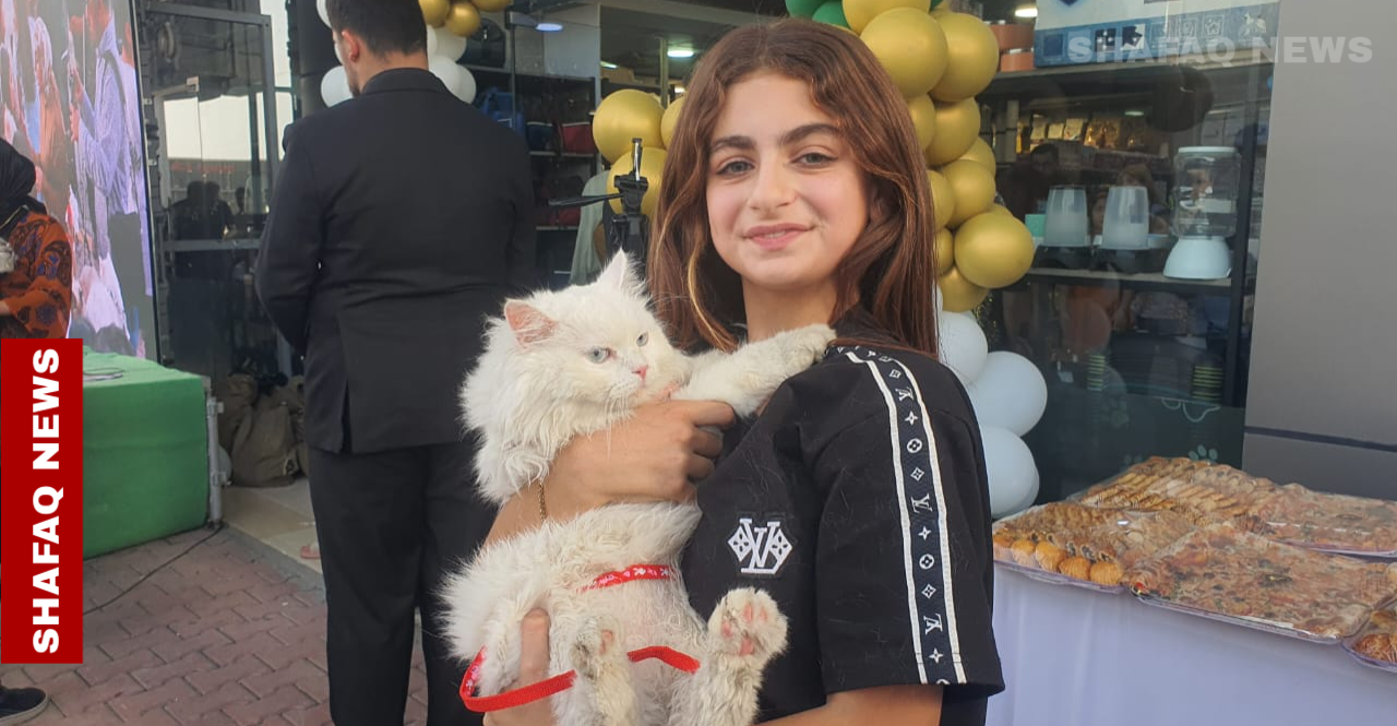 200 پشی لە سلێمانی مینەی نازناو (شاجوان پشی) کەن .. وینە