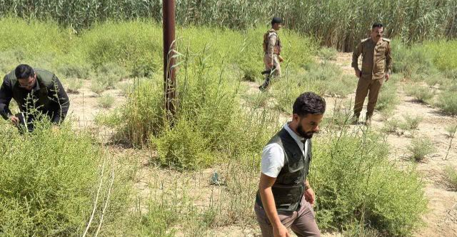 رصد طائر نادر مهدد بالانقراض في الأجواء العراقية بتقنية فضائية